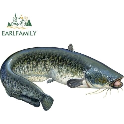 EARLFAMILY 13cm x 7.2cm for Cat Fish Camper Car Stickers DIY Custom Printing Fashion Anime Decoration Waterproof VAN SUV Decal