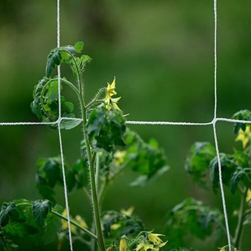 Plant Trellis Netting Polyester Climbing Net Grow Net Braided Mesh for Climbing Fruits Grapes Vegetables Cucumber Pea EL
