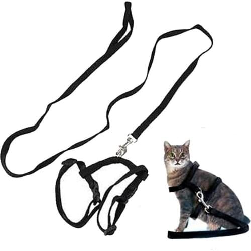 LITTLE YANNSUCA Collars For Cats