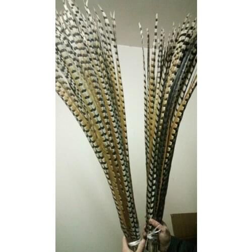 Wholesale perfect 10pcs Rare natural Reevess Pheasant feathers 40-44inch/100-110cm Decorative diy