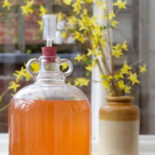 1/2/3pcs Air Lock Brewing Barrel Exhaust Valve PP Fermentor Homebrew Wine Beer Check Exhaust Air Water Sealed Making Lock V E5V4