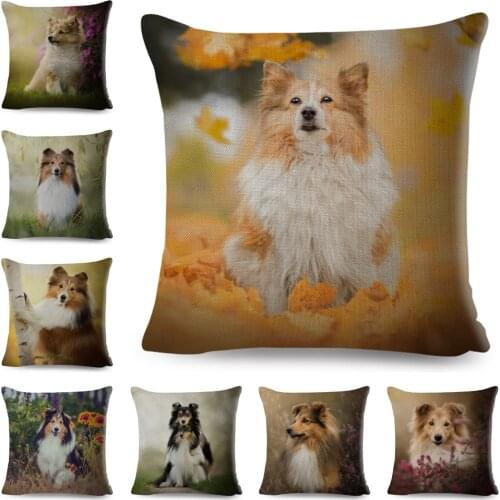 Cute Pet Animal Dog Printed Pillowcase Decor Shetland Sheepdog Cushion Cover for Sofa Home Car Polyester Pillow Case 45*45cm