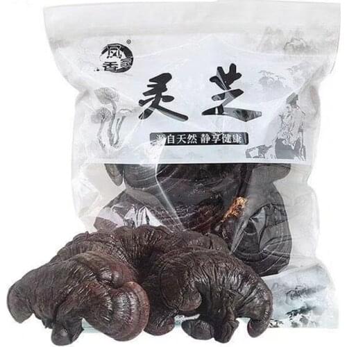 500g Changbai Mountain wild Ganoderma lucidum Ganoderma lucidum