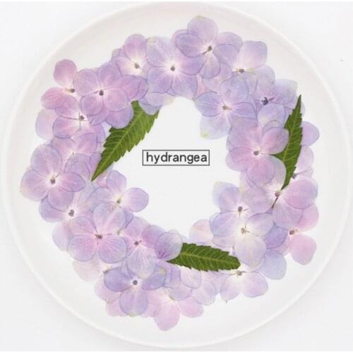 60 Pcs Natural Pink Purple Hydrangea DIY Dried Flowers UV Epoxy Resin Mold Filling Nail Art Pressed Flower Makeup Face Decal Dec