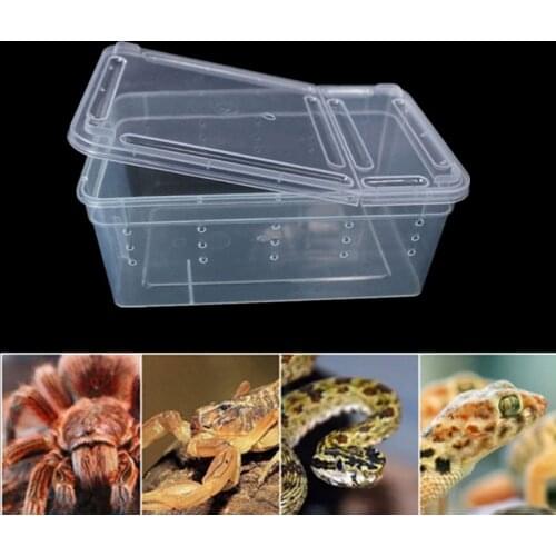 Small Reptiles Feeding Box Plastic Box Insect Pet Terrarium Transport Breeding Live Food Feeding Container with Bowl