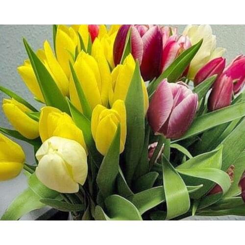 5D DIY Diamond Embroidery Full Tulips Painting Flower With Diamant Schilderen Picture By Numbers Cross Stitch Square/round