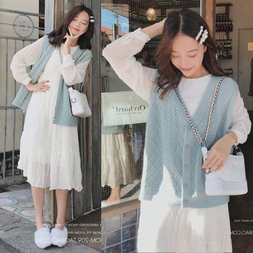 Pregnant WOMENS Autumn Suit Fashion Models Korean-style Nursing Vest Autumn Two-Piece Set Loose-Fit Pregnant WOMENS Dress