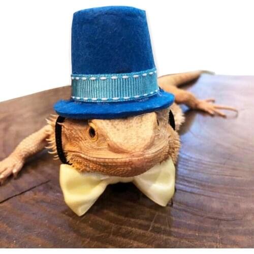 Bearded Dragon Harness and Leash 2 Color Magician Hat Bowtie Adjustable Leather Reptile Leash with Wing for Small Animal