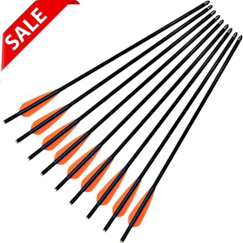 6/12X High Quality Glass Fiber Arrows 16/18/20 Inch Shaft For Hunting Crossbow Bolts TPU Vanes Archery Bow Fiberglass 6/12 Pack