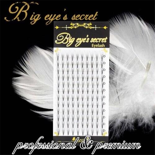 Big eyes secret 10P volume premade Fans all size eyelash extension makeup tools professional handmade Mink luxury Free Shipping