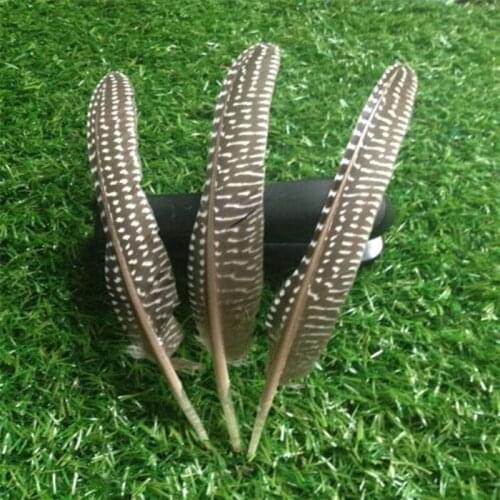 Wholesale 500pcs beautiful natural humpback feather 8-10inches/20-25cm