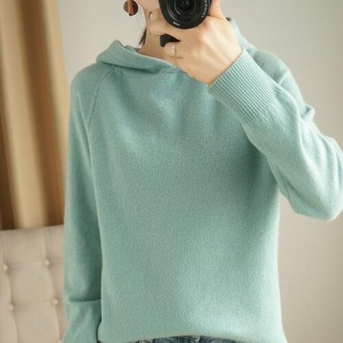 2020 hooded cashmere sweater womens hooded sweater loose solid color hooded pullover pure wool knitted bottoming shirt