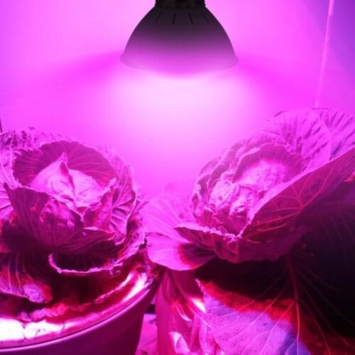 Happyfrank LED Plant Lamps