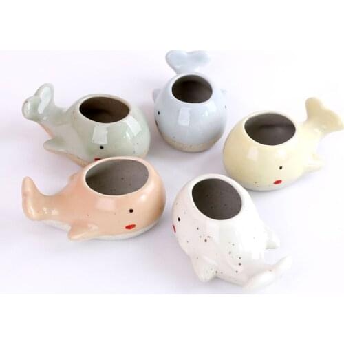 Cute little whale fleshy cartoon pots Mini hand-painted thumb pots
