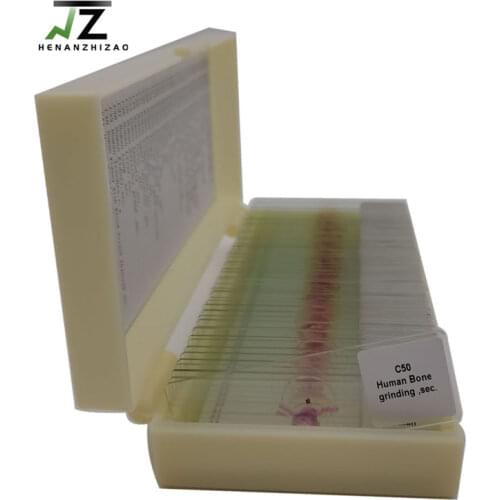 50pcs Histology Human Tissue Slides for prepared microscope slides