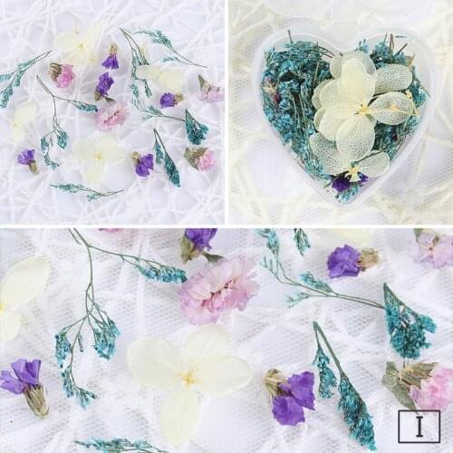 1 Box 3D Nail Art Decorations Preserved Fresh Flower Nail Colorful Dried Flower with Tweezer Nail Art Tool Accessories