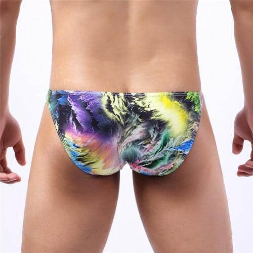 Printed Sexy Men Underwear Low Waist Underpants Milk Silk Briefs Cueca Gay Male Penis Pouch Panties Slip Pattern Design Shorts