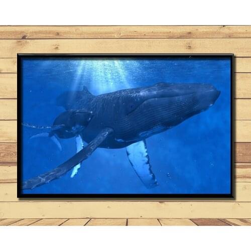 Humpback Whale Ferocious Giant Marine Animal (16) Wall Posters Wall Posters Prints Silk Art Painting For Home Wall Bedroom Decor