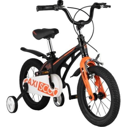 Maxiscoo Black Bicycles