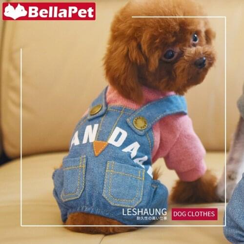 Chihuahua Dog Clothes Cute Dog Clothes for Small Dogs Winter Warm Pet Dog Jacket Pet Product Dog Accessories Luxury Dog Clothes