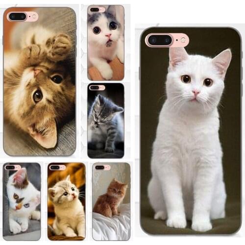 Little Kitten Cute Cat TPU Cell Bags For Huawei Honor 5A 6A 6C 7A 7C 7X 8A 8C 8X 9 10 P8 P9 P10 P20 P30 Mini Lite Plus