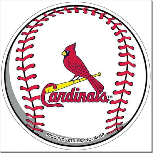 5D DIY Mosaic Diamond Painting Parrot baseball Picture Of Rhinestones Full Square Round Diamond Embroidery Animal bird decor