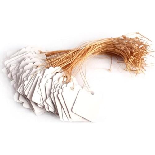 100pcs Waterproof Strip Line Gardening Labels Gardening Tree Signs Plant Hanging Tags Garden Labels Flower Tags Plant Lab