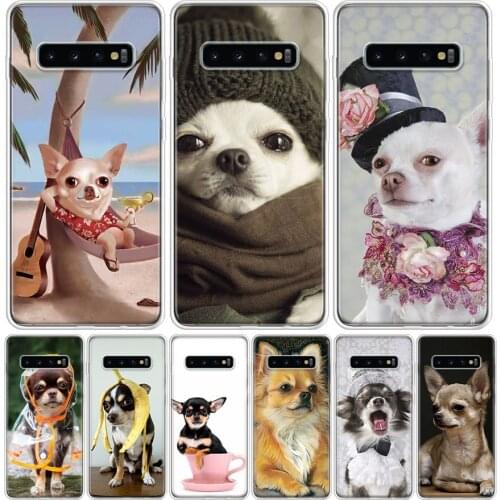 Chihuahua Puppy Teacup Dogs Cover Phone Case For Samsung Galaxy A51 A71 A50 A10 A20E A30 A40 A70 M30S A01 A21 A6 A7 A8 A9 Plus