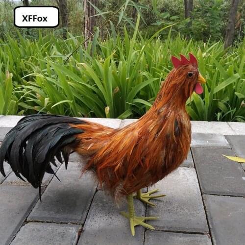 Big simulation cock model foam&furs real life brown&black chicken bird model gift about 48x32cm xf1039