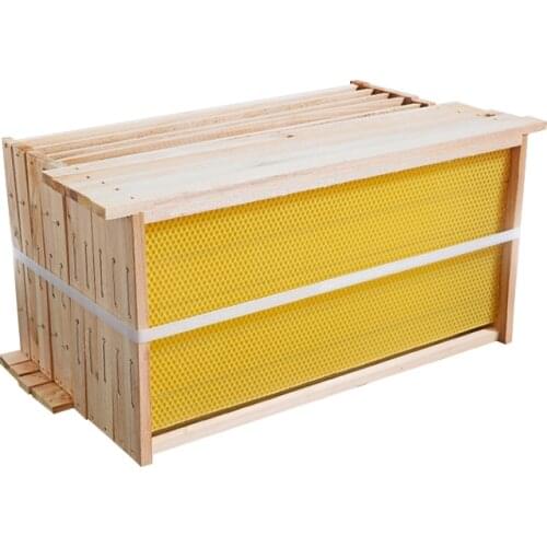 Honeycomb Bee Nest Comb Foundation Bee Hive Beekeeping Tool Beehive Frames for Flow Hive Bee Box Beekeeping Equipment