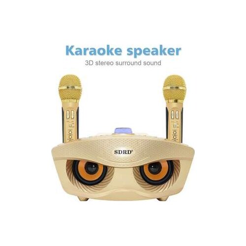 SD306 portable home karaoke system two wireless microphones with 20 watt stereo bluetooth speaker condenser karaoke microphone