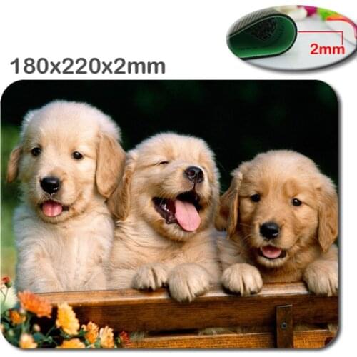 Animals Cat Kitten Dog Golden Retriever Puppy Mousepad,Custom Rectangular Mouse Pad in 220*180*2mm - office accessory and