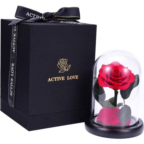 Beauty and The Beast Preserved Flowers Red Eternal Rose Flower In Glass Dome Valentine Gift for Girlfriend Wife Dropshiping D30