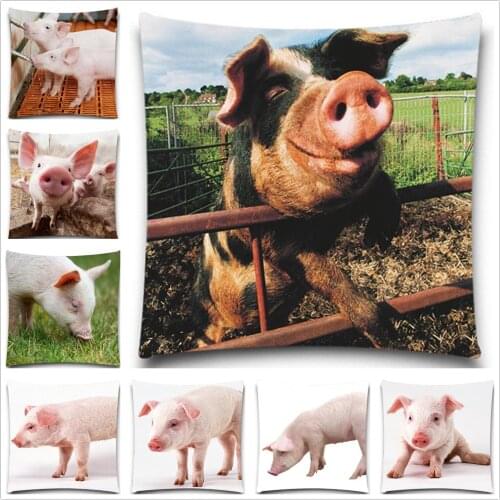 Товары для скалолазания и альпинизма GVIGU China At AliExpress