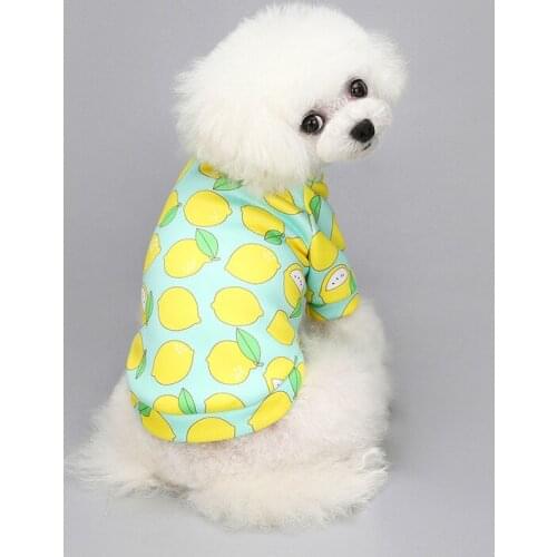 Cartoon Cat Hoodie Sweater Autumn Winter Pet Cat Clothes for Cats Katten Kedi Pullovers Mascota Pet Costume Cat Outfit Clothing