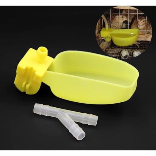 5Pcs Bird Quail Water Bowl Automatic Parrot Drinker Hanging Cups Piegeon Quail Parrot Water Feeder Bowl Bird Water Bottle