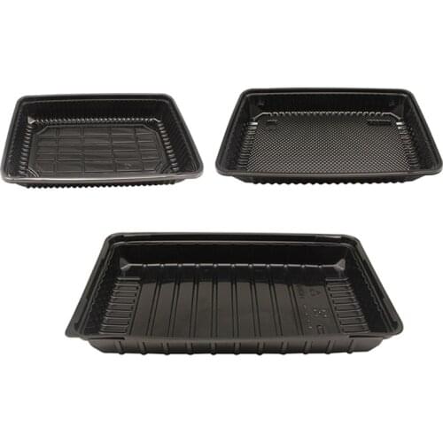 5pcs Seed Starting Plant Growing Tray Reusable Seedling Starter Box for Greenhouse Microgreens Hydroponics