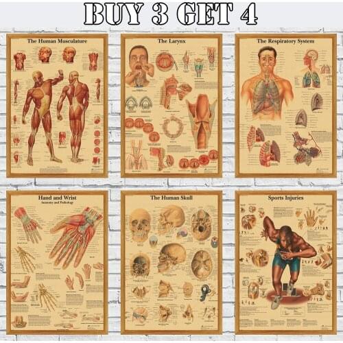 Human Anatomy Muscles System Art Poster Print Body Map Kraft Paper S For Education Home Decor