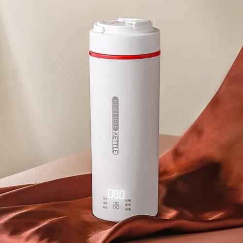 100-240V Portable Electric Kettle Multifunction Heating Cup Stew Cup Smart Health Preserving Pot Thermo Kettle Travel Teapot