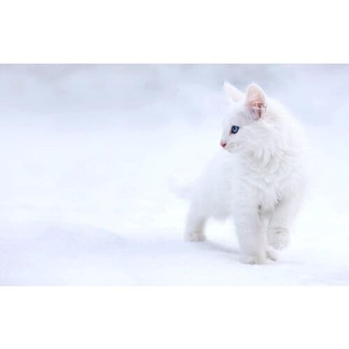 White cat The wooden puzzle 1000 pieces ersion jigsaw puzzle white card adult childrens educational toys