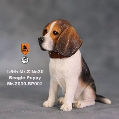 1/6 scale Mr.Z No.30 Beagle Puppy BP001/BP002 Dog simulation animal model toy For 12' action figure doll Accessory