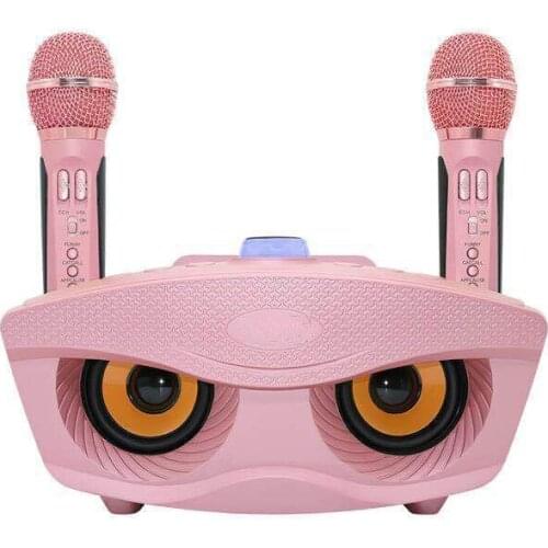 Wireless Microphone Bluetooth Speaker Mobile Wireless Karaoke Speaker Wireless Stereo black 20W SDRD speaker set