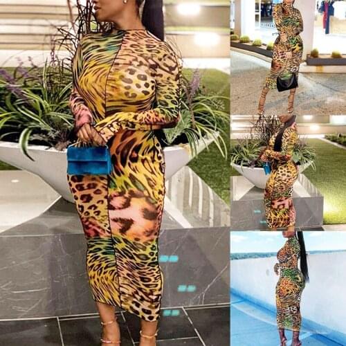 Mesh Fabric Leopard Pattern Print Maxi Dresses for Women Sexy See Through Ruffle Skinny Attractive Clubwear