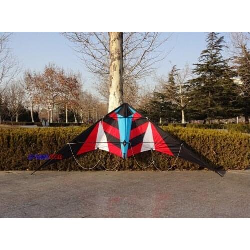 Double line sports double line stunt kite 2.2 meters