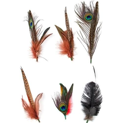 6Pcs Natural Rooster Ostrich Feathers Handicrafts High Quality Pheasant Plumes Wedding Hat Decoration Pet Toys Accessory Crafts