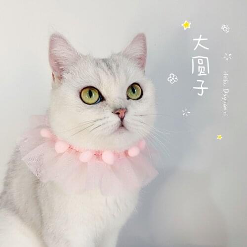 Stable Collar Dog Necklace Cat and Dog Photo Accessories Puppy Necklace