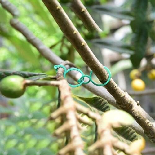 100/50/20 PCS New Arrival Plant Garden Clips Vegetable Plant Vine Support Clips For Holding Plant Stems