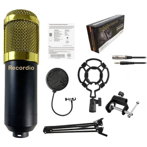 GAM-800PS Professional Studio Broadcasting Recording set Condenser Microphone Ball-type Anti-wind Foam Power Cable Black