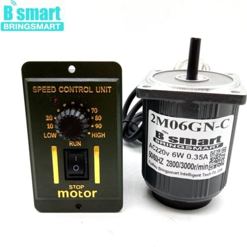 Bringsmart 220V AC Motor Single-Phase Motor 6W Slow Speed Reversible Mini Speed Regulation High Torque Micro Motor