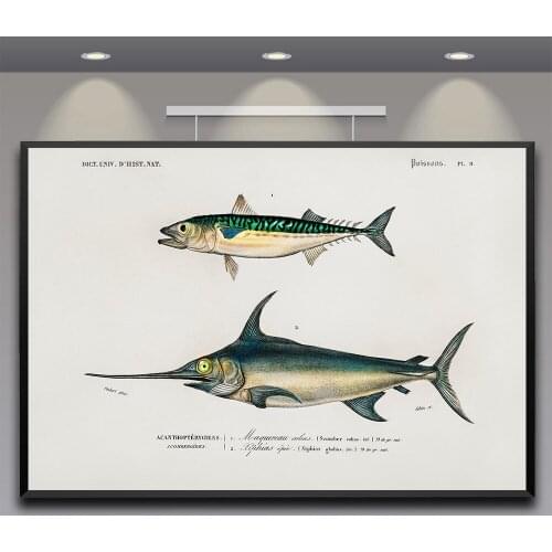 Vintage Breeds Of Fish Print Marine Vintage Fishes wallpaper Fish Illustration Poster Retro Art Picture Canvas Painting Decor